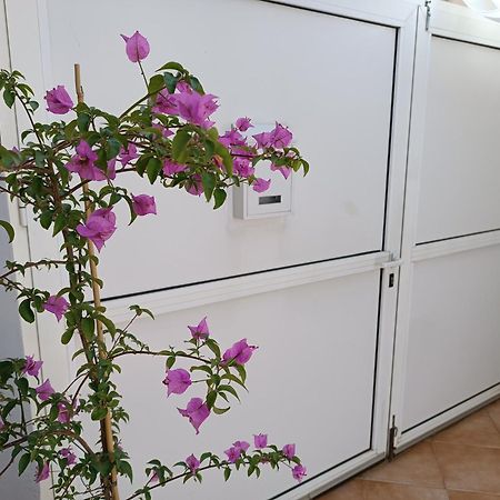 Apartman Dani Zadar Buitenkant foto