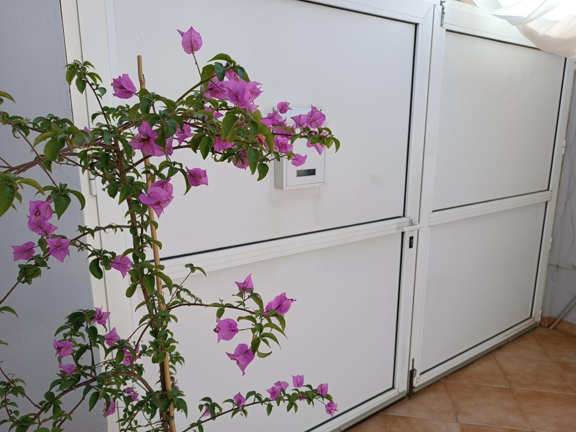 Apartman Dani Zadar Buitenkant foto